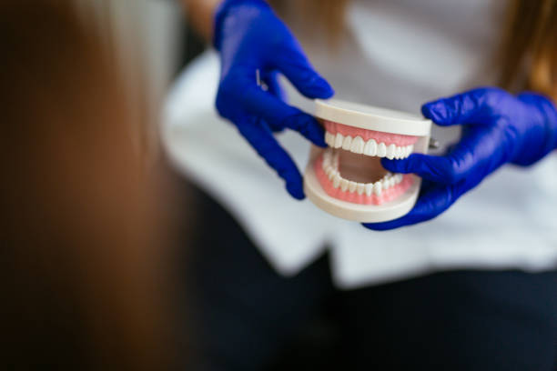Professional Holistic Dental Care Services in Issaquah, WA
